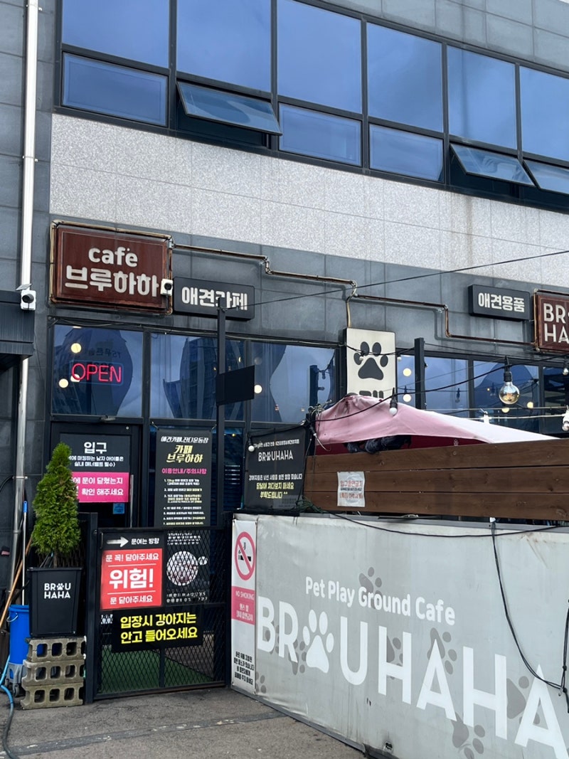 사진 2