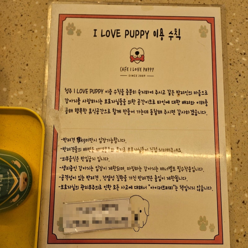 사진 5
