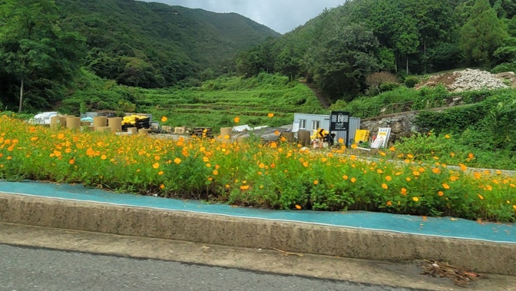  가을 날씨 특징 2가지 선선한 바람과 큰 일교차