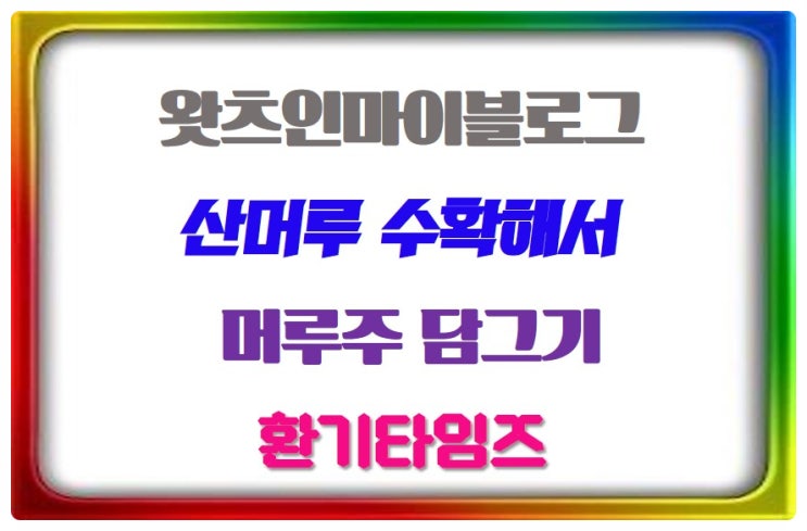  산머루 따서 머루주 담그기_왓츠인마이블로그_환기타임즈