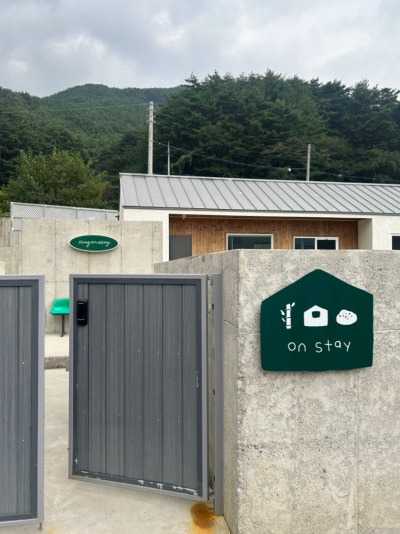 사진 2