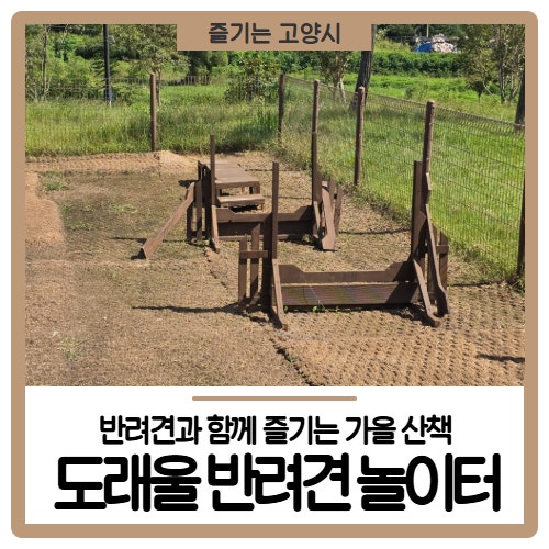 사진 7