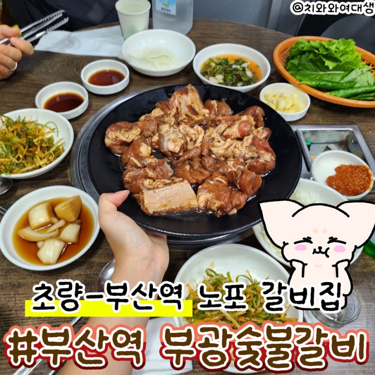  초량 갈비 부광숯불갈비 골목 노포