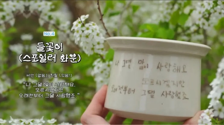 <b>임영웅</b> 정규2집앨범 <b>들꽃이 될게요</b>,  엄마를 향한 마음을... 