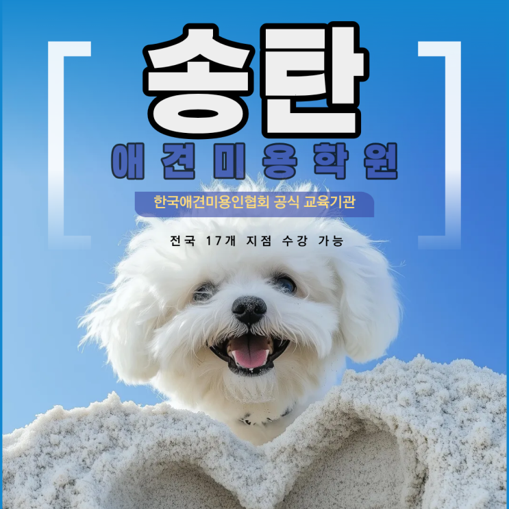  송탄애견미용 지금이 준비 할 적기입니다