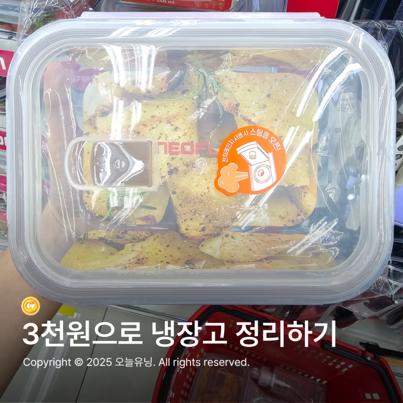 다이소 네오플램 밀폐용기 하나로 주방정리 고민 끝!
