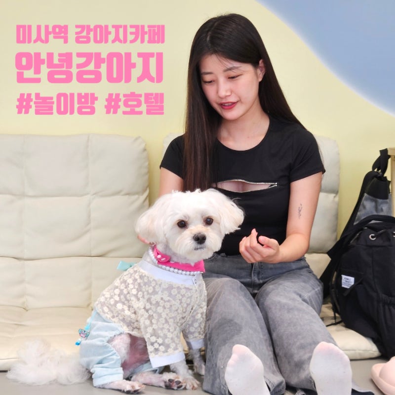 사진 4
