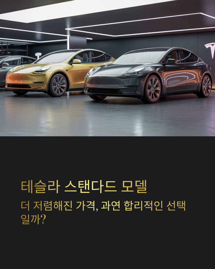  테슬라 모델 Y, 모델 3 스탠다드: 가격 인하, 현실적인 선택일까?