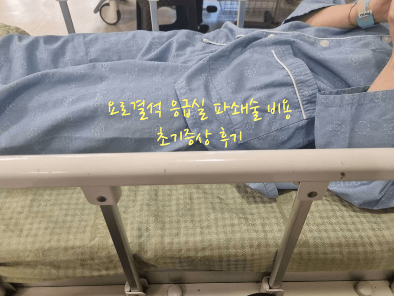 요로결석 응급실 파쇄술 비용 초기증상 후기