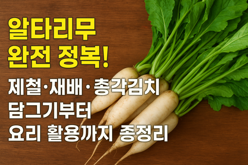 알타리무 완전 정복! 제철·재배·총각김치 담그기부터 요리 활용까지 총정리