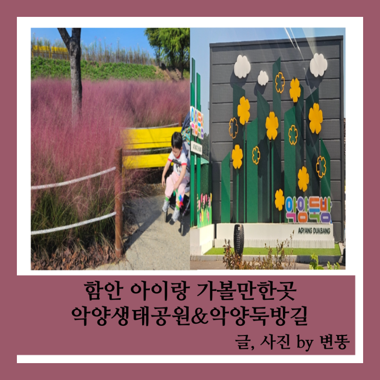  함안 아이랑 가볼만한곳: 악양생태공원 핑크뮬리&악양둑방길