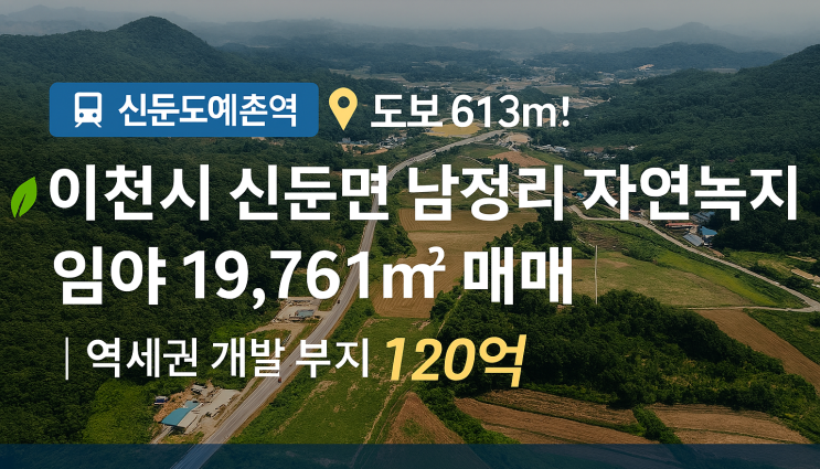  신둔도예촌역 인근, 이천시 신둔면 남정리 자연녹지 임야 19,761 매매 | 역세권 개발 부지 120억