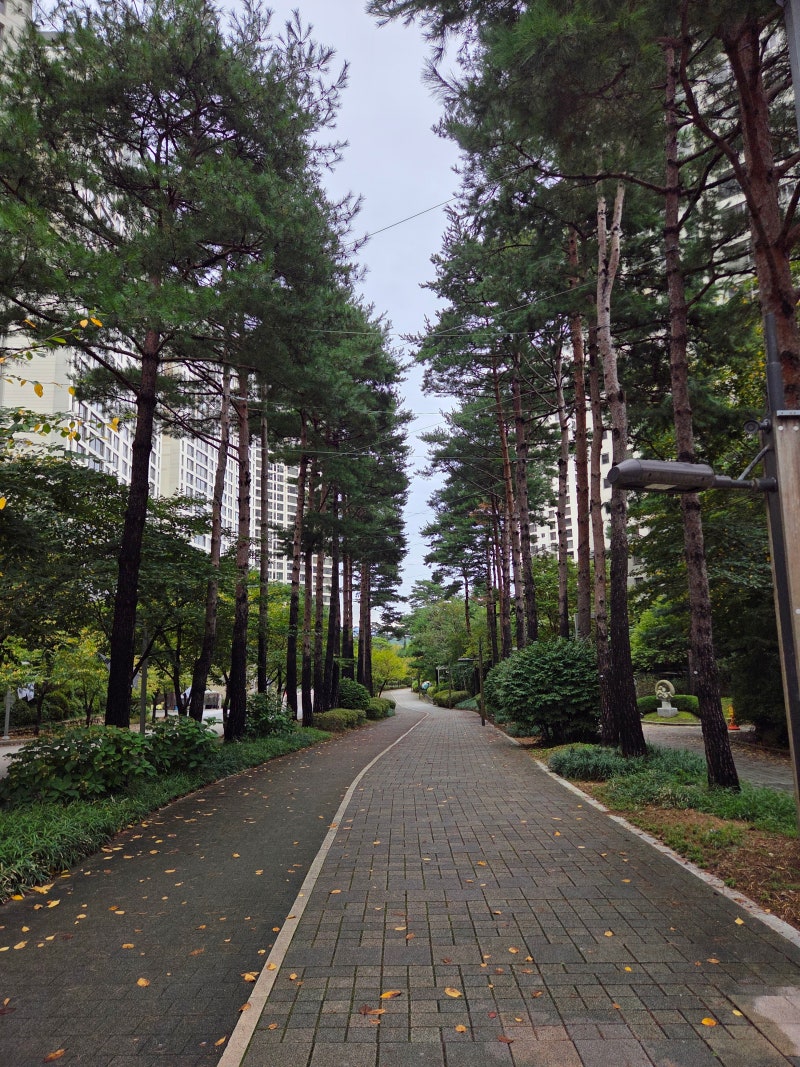 정책지식 2025.10.14. : 네이버 블로그