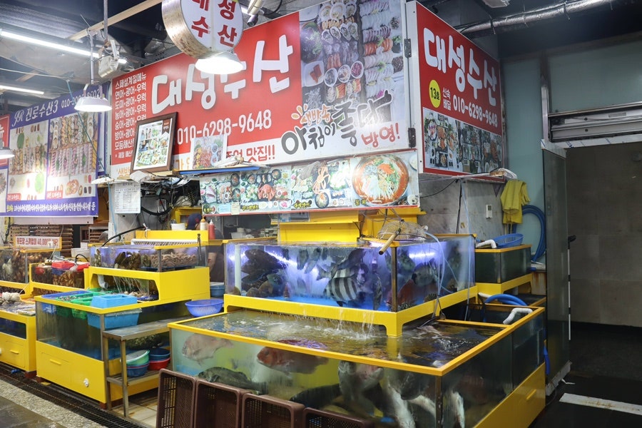 회천국 사진 2
