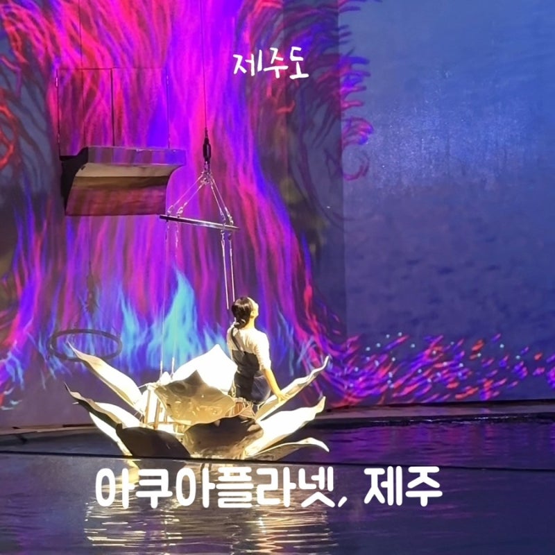 대가족 모두 만족! 한화 아쿠아플라넷 제주 공연 시간 가격 총정리