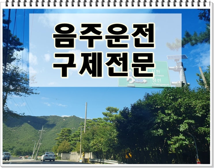  음주운전초범반성문예시 면허취소 적발되었다면