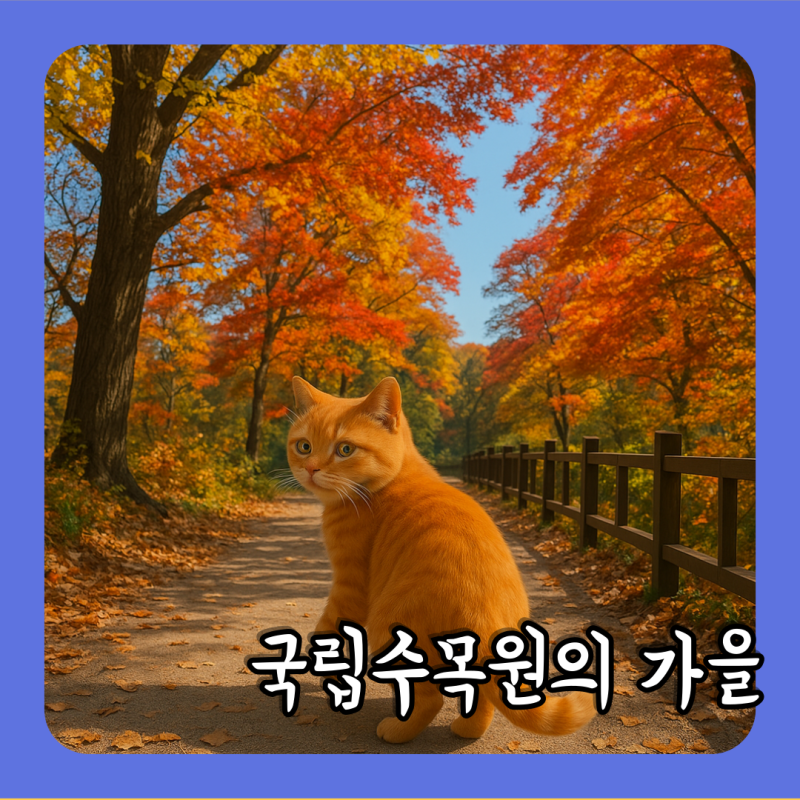 포천 국립수목원 가을 단풍 여행, 광릉숲 걷기 좋은 날, 수목원 단풍 코스 추천과 예약 팁