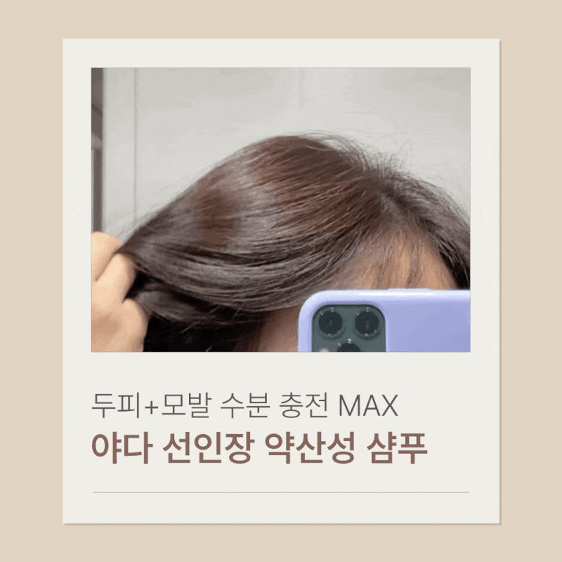 약산성 샴푸 추천｜두피 케어와 향까지 잡은 야다 선인장 샴푸 후기
