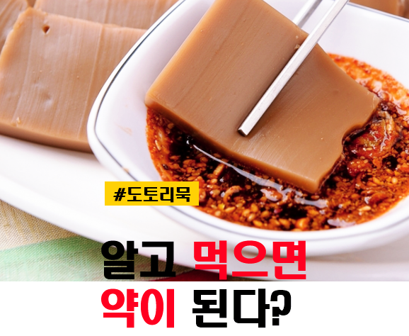 도토리묵 효능 및 칼로리 유통기한