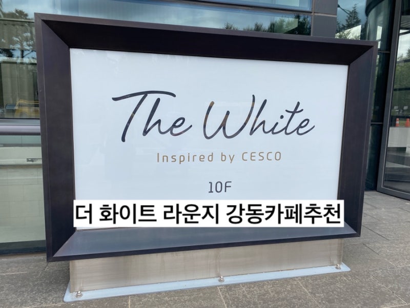 [강동]강동구카페 세스코카페 더화이트라운지