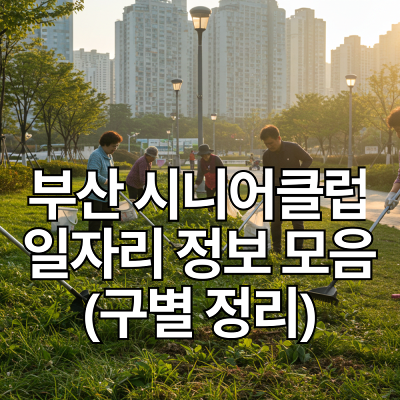 부산 시니어클럽 일자리 정보 모음 (구별 정리)