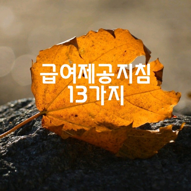 급여제공지침 13가지