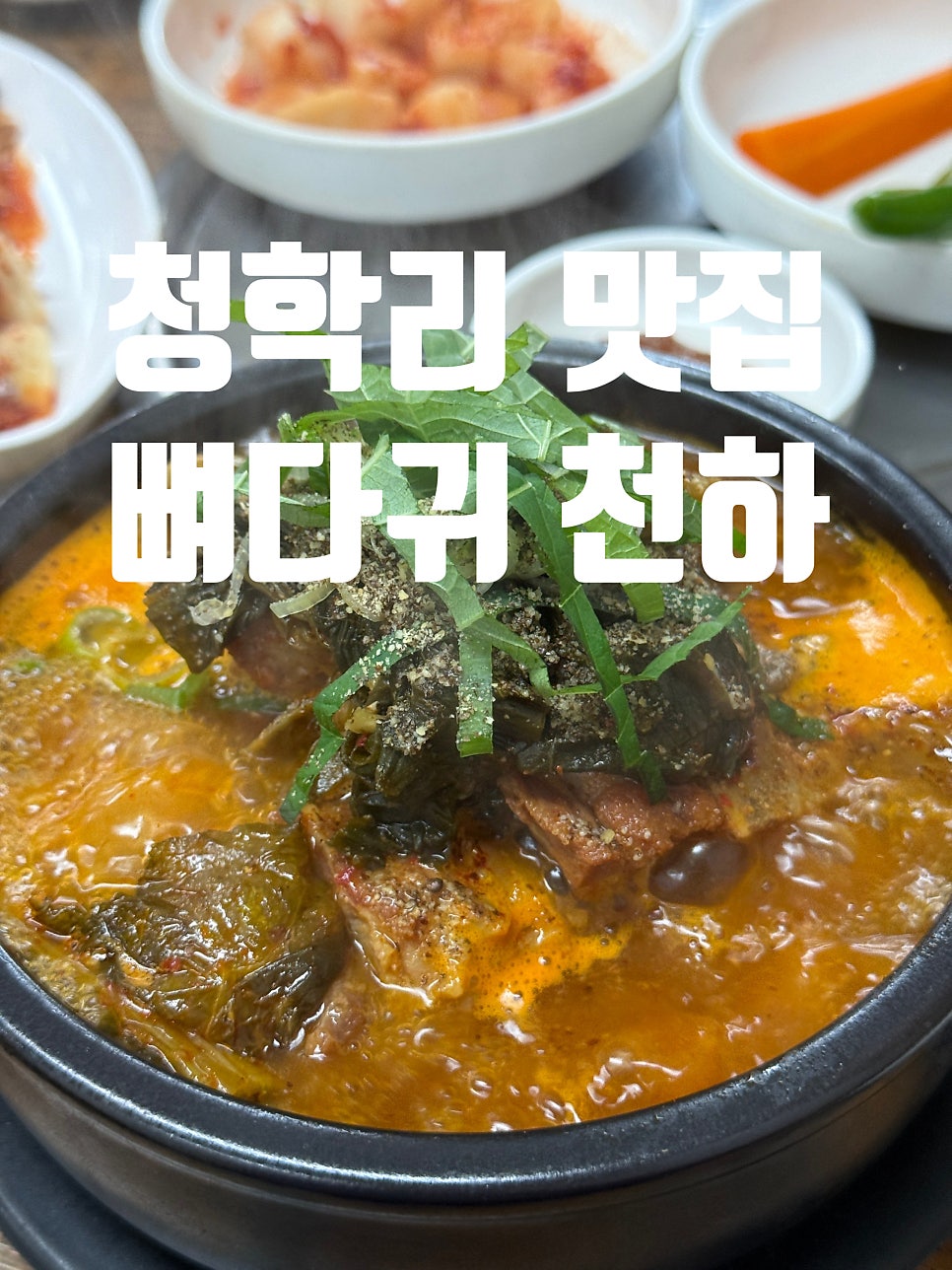 뼈다귀천하 사진 1