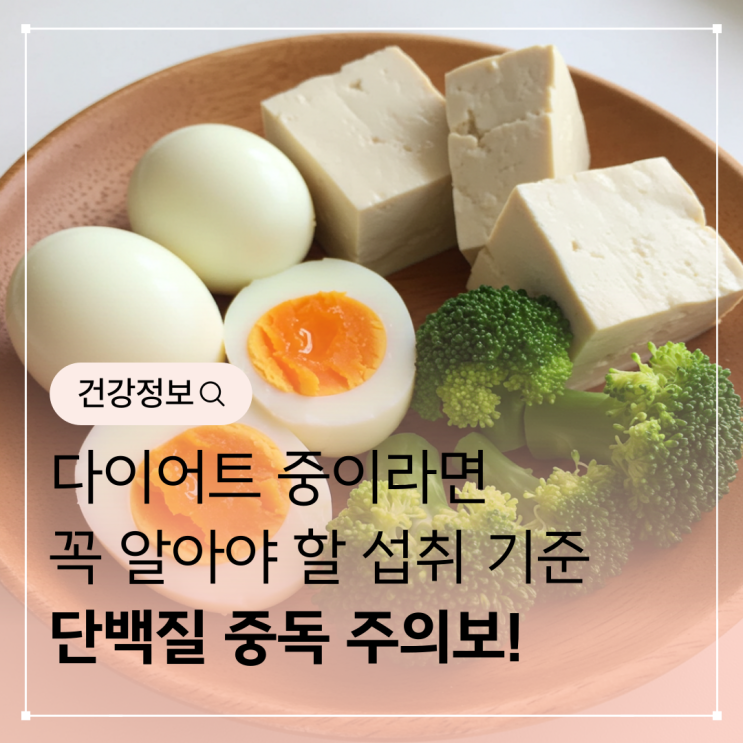 단백질 중독 주의보! 다이어트 중이라면 꼭 알아야 할 섭취 기준