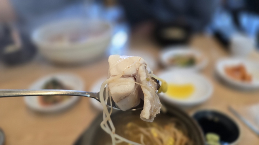 다물이네 사진 6
