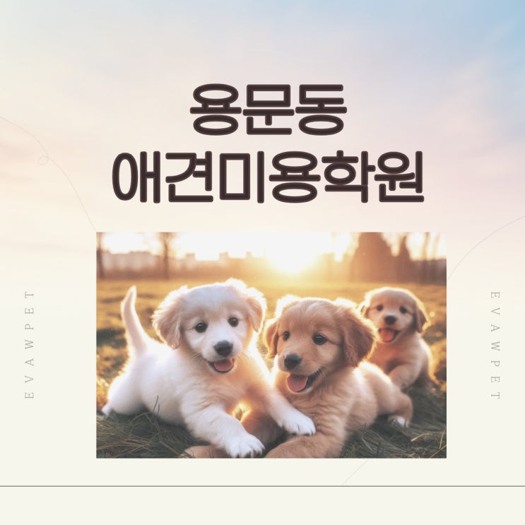  용문동애견미용학원: 자격증부터 창업, 취업 실무중심 교육