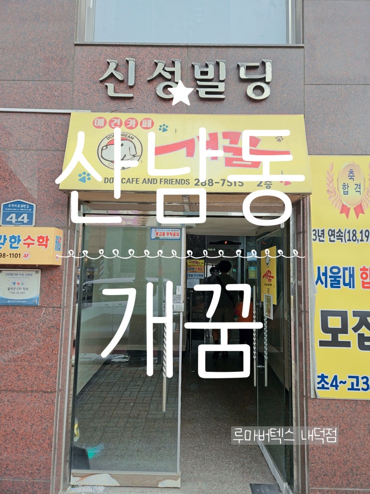  청주아이랑 유기동물 입양센터 개꿈에서 강아지 친구 만나기