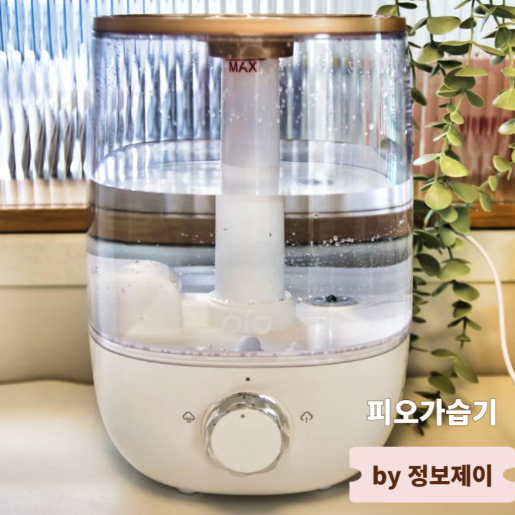  피오 초음파 통세척 가습기 솔직 사용 후기