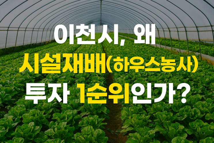  이천시, 왜 시설재배(하우스농사) 투자 1순위인가?