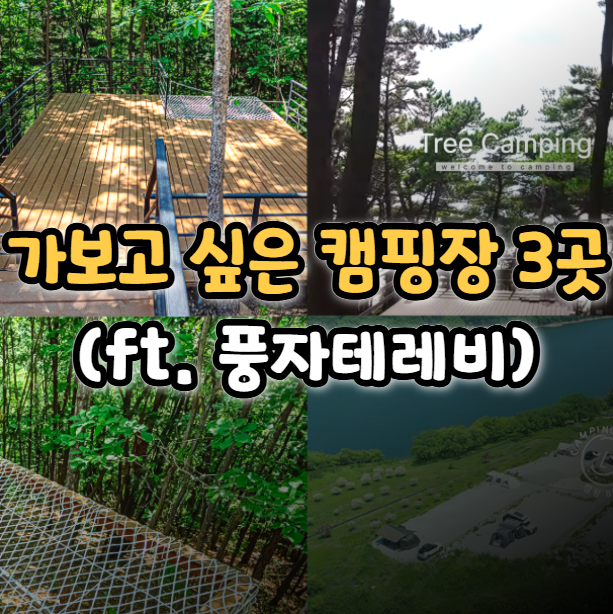  가보고 싶은 멋진 캠핑장 추천 3곳(ft. 풍자 테레비)