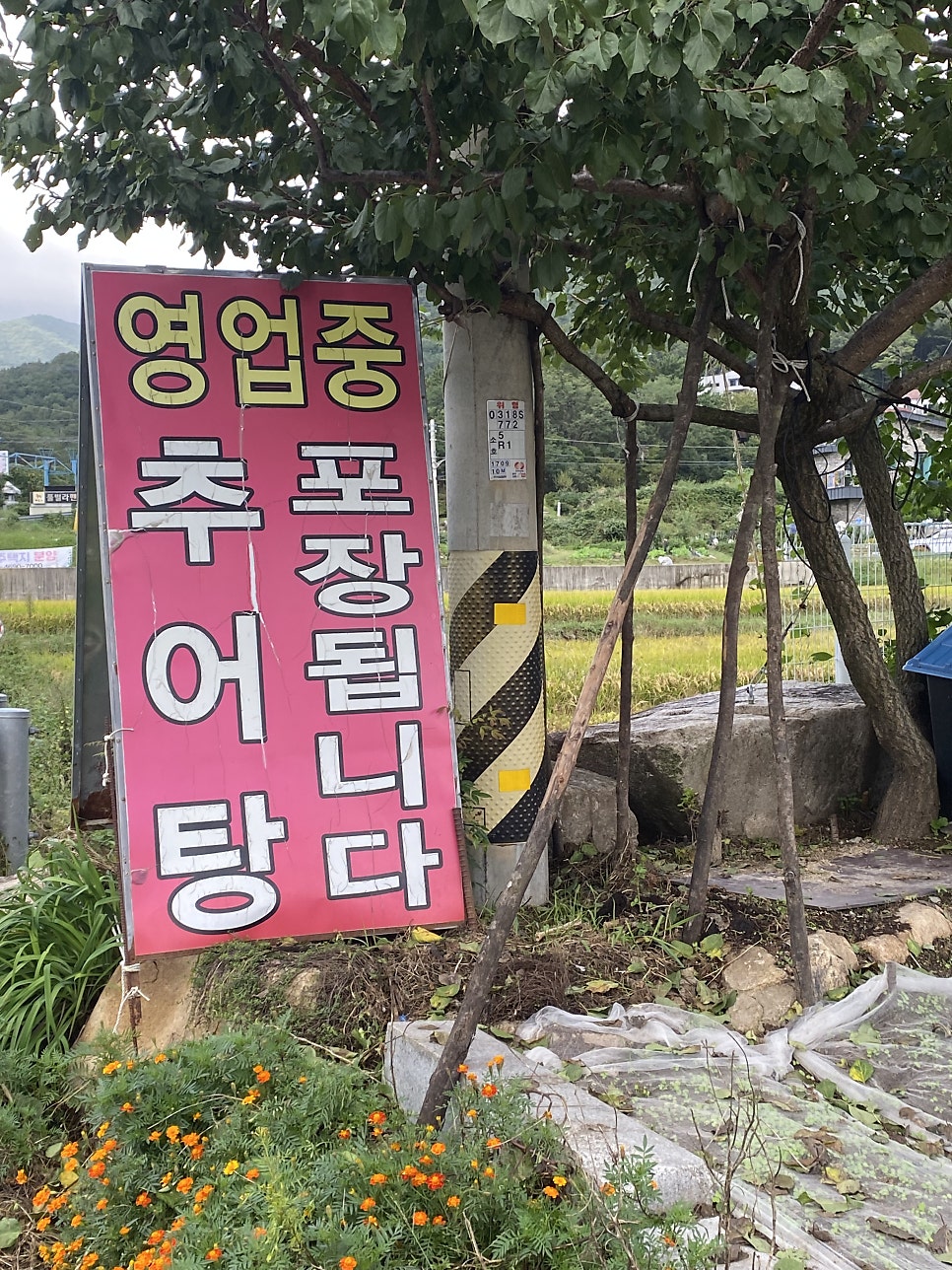 두왕추어탕 사진 3