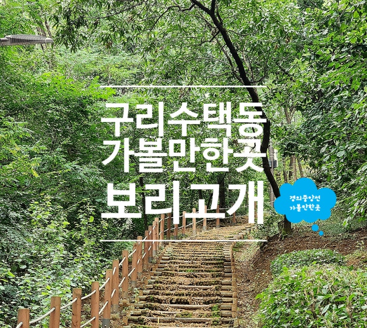  구리 밥집 점심 보리밥 보리고개 구리본점