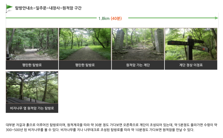  [아이와 함께 전라도 단풍 여행] 2024년 내장산 백양사 담양 가족 코스 BEST 3! (절정 시기 & 꿀팁)