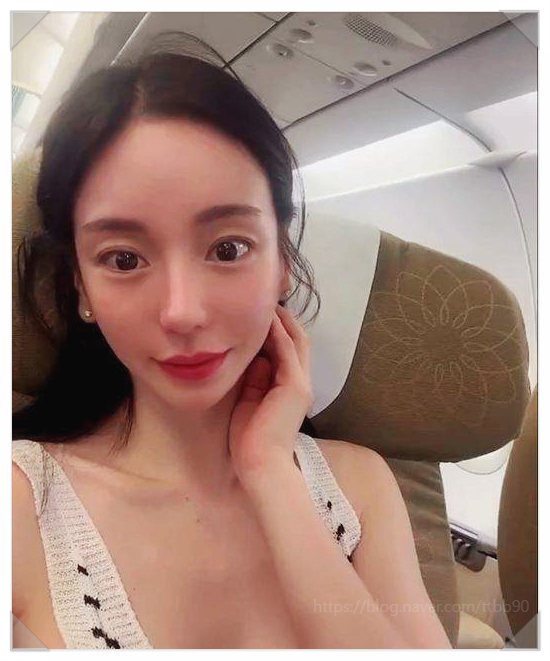  황하나 캄보디아 목격담 인터폴 적색수배자 초호화 아파트에서 마약 파티 벌이다 포착