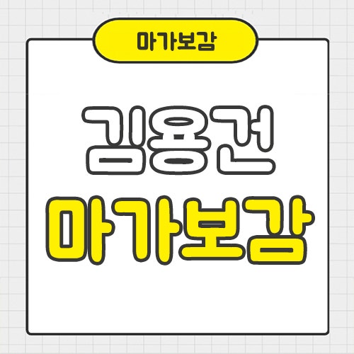 김용건 마가보감 프리미엄 가격 효능 정품 최저가 구매하기