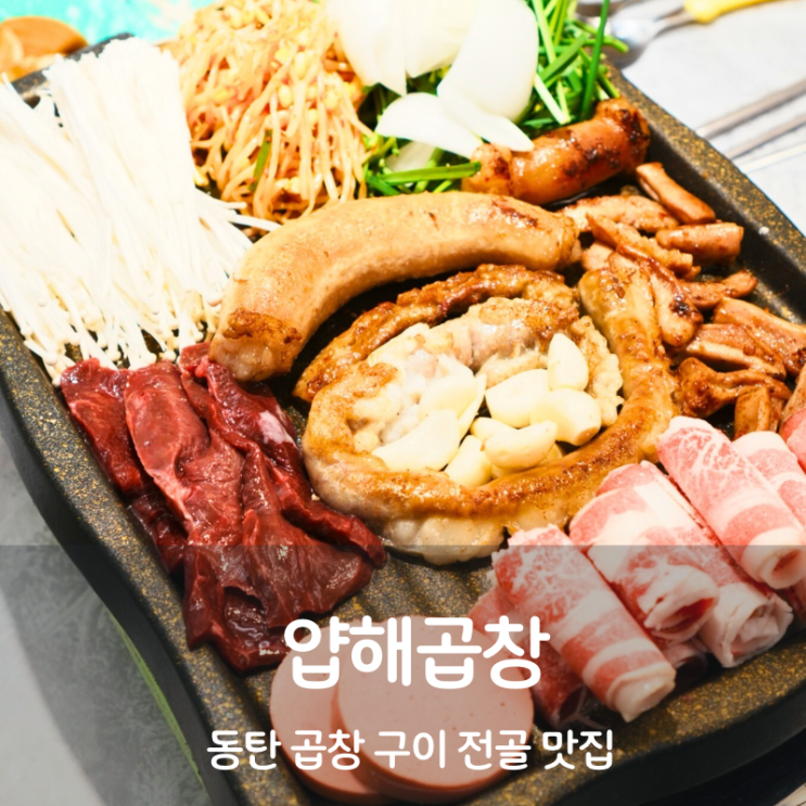  동탄역 곱창 맛집 압해곱창 소곱창 전골 구이