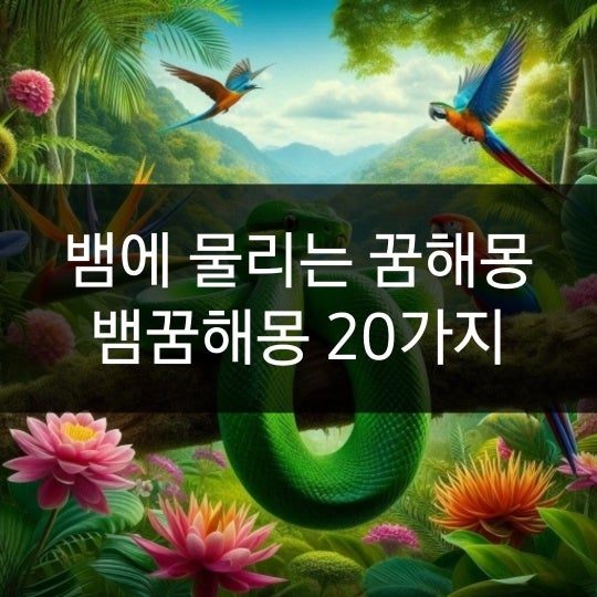 뱀에 물리는 꿈 손 발 물리는 꿈해몽 20가지 정리