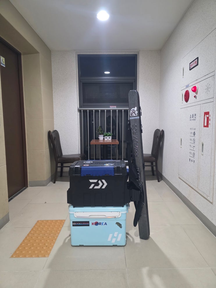  군산 똥까호 갑오징어 선상낚시_Again 로구만_251012(일)_12물