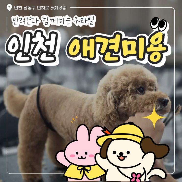  인천애견미용 국비지원 알아보신다면?