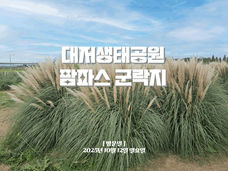  바람 따라 걷는 부산 가을 꽃놀이, 대저생태공원 팜파스 군락지, 아이와 가볼만 한 곳