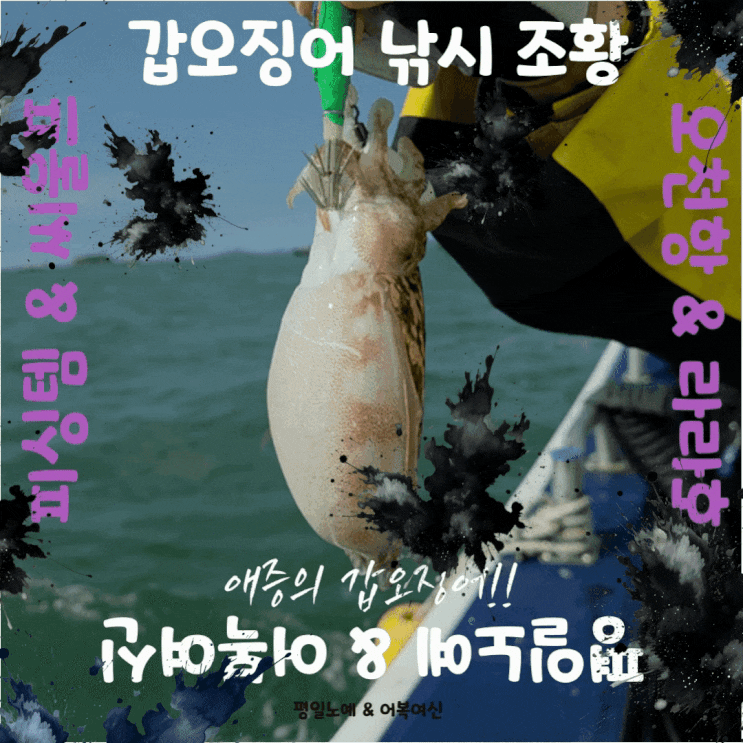  갑오징어 낚시 라라호 출조 조황