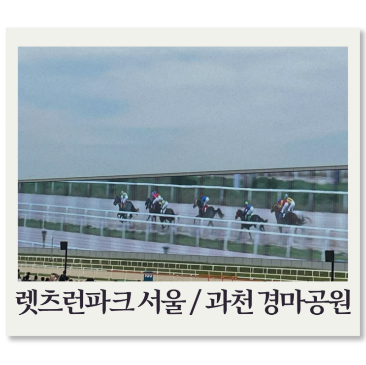  과천 경마공원 서울 렛츠런파크 경마장, 무료입장권, 주차, 준비물, 현장강의, 마권, 배팅방법 등 찐후기