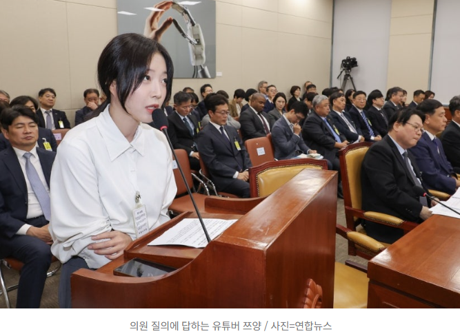   “한심한 XX!” 국감장에서 고성·욕설 오간 여야…참고인으로 나온 쯔양도 깜짝 놀랐다