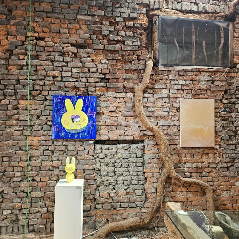 사진 5