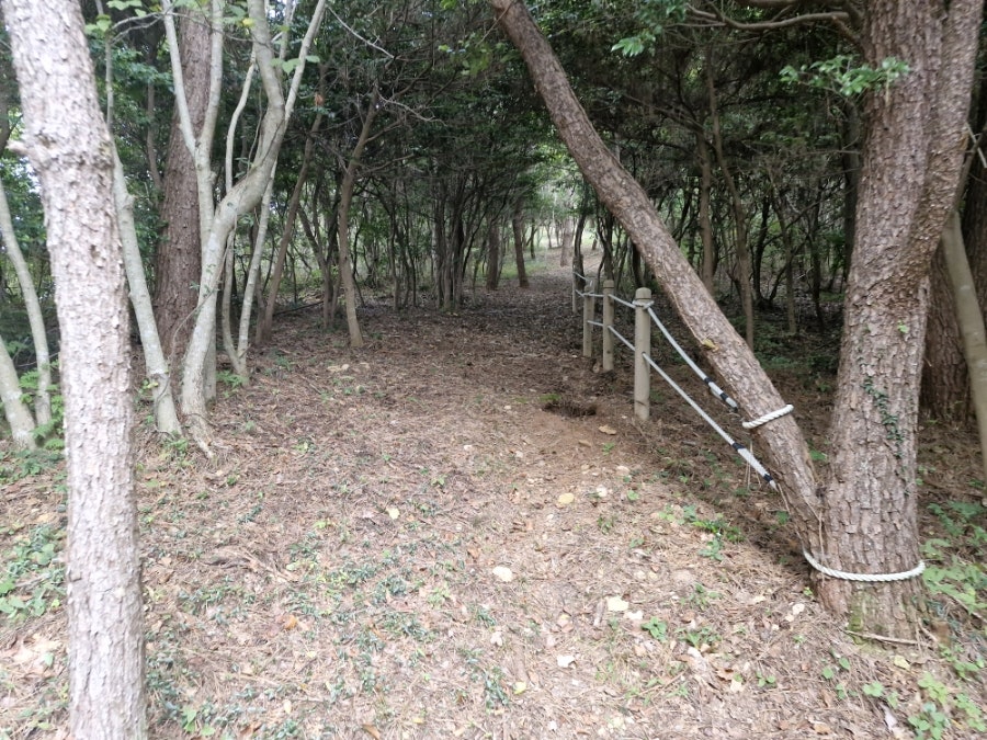 서낭산 사진 3