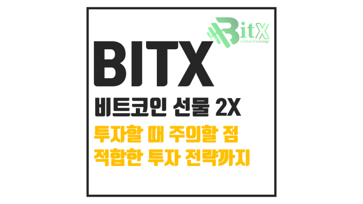  BITX : 비트코인 2배 ETF 레버리지의 기회와 리스크